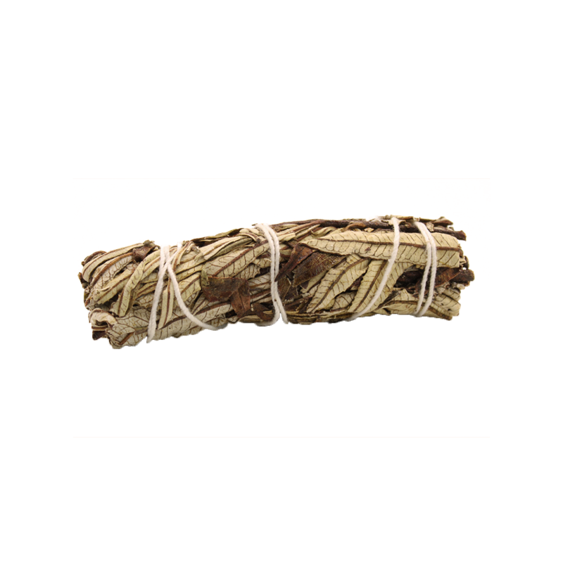 Žajbljev snop z Yerba Santa, 10 cm